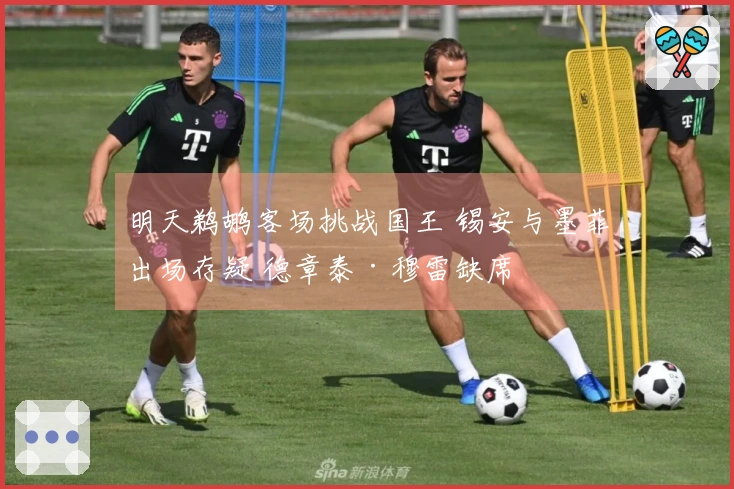 明天鹈鹕客场挑战国王 锡安与墨菲出场存疑 德章泰·穆雷缺席